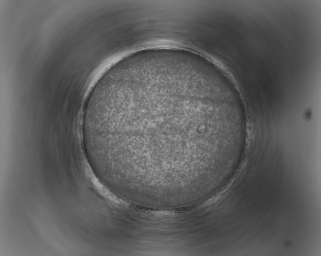 X0000115511421200912041051