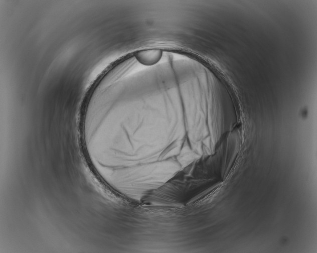 X0000115511422200912041051