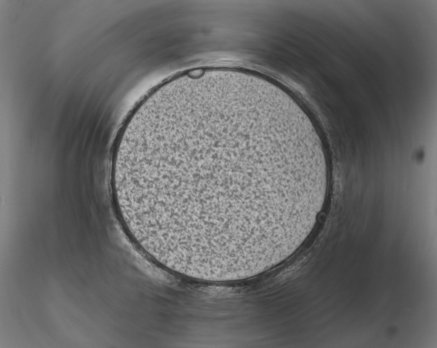 X0000115511424200912041051