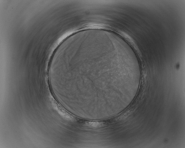 X0000115511427200912041051