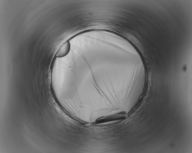 X0000115511428200912041051