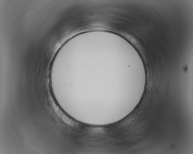 X0000115511431200912041051