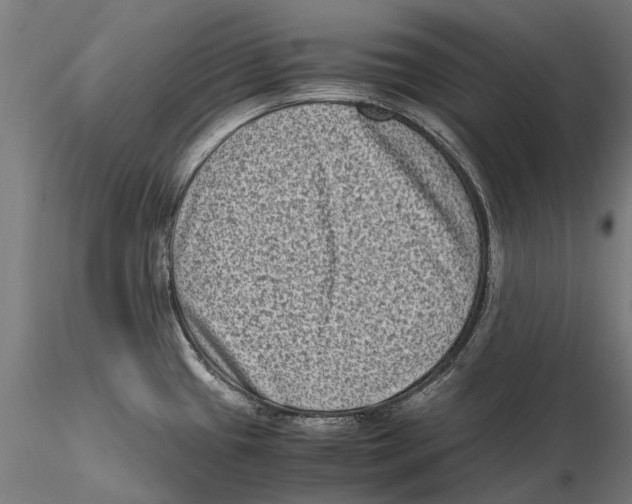 X0000115511433200912041051