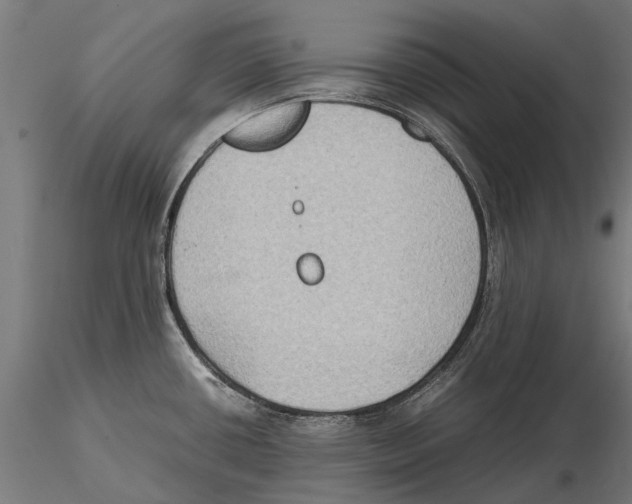 X0000115511434200912041051