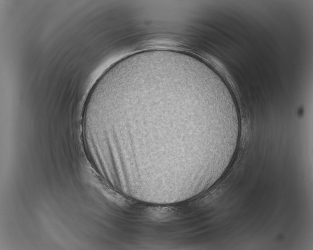 X0000115511435200912041051