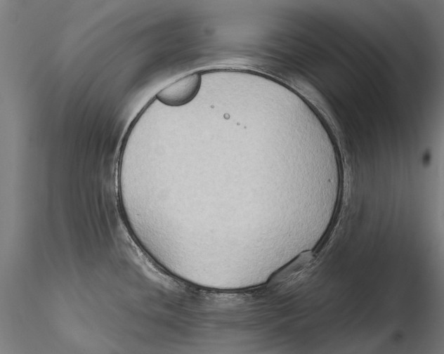 X0000115511436200912041051