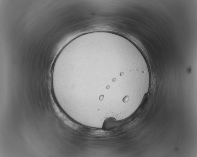 X0000115511439200912041051