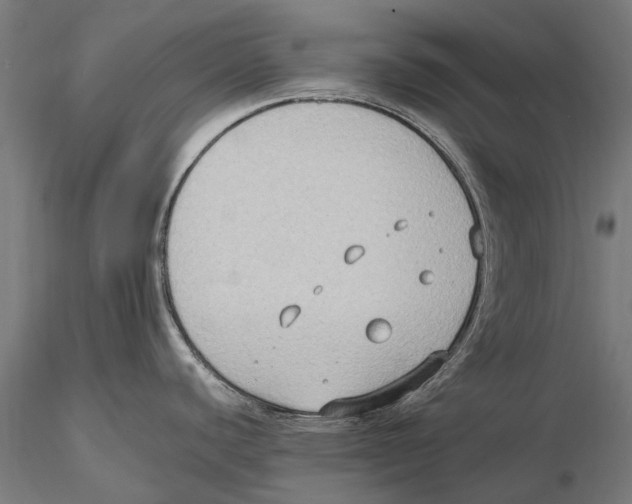 X0000115511440200912041051