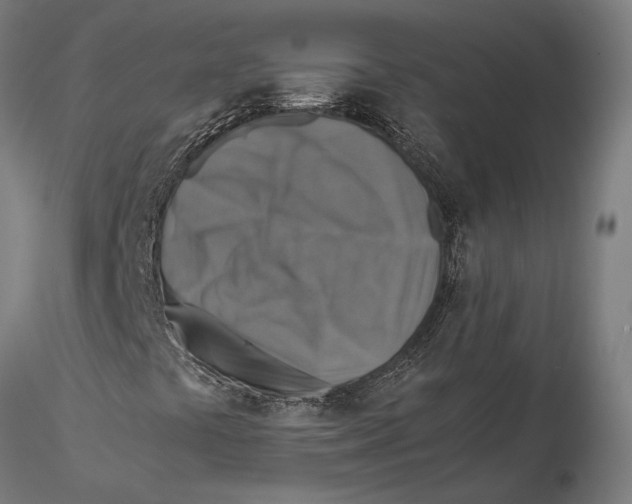 X0000115511441200912041050