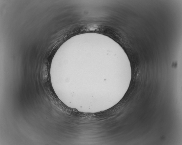 X0000115511442200912041050