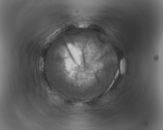 X0000115511443200912041050