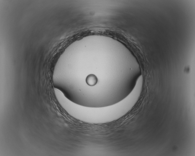 X0000115511445200912041050