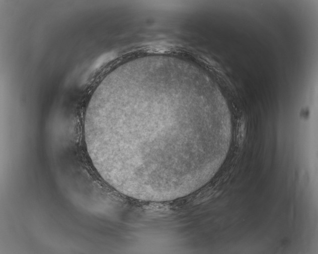 X0000115511446200912041050