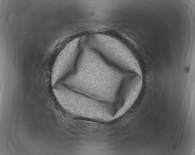 X0000115511447200912041050