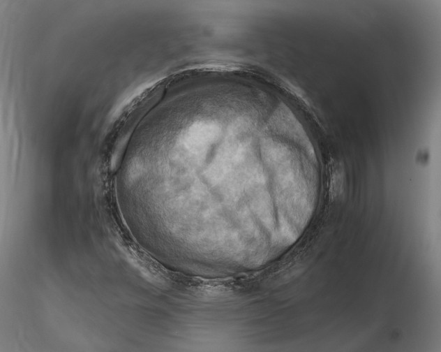 X0000115511448200912041050