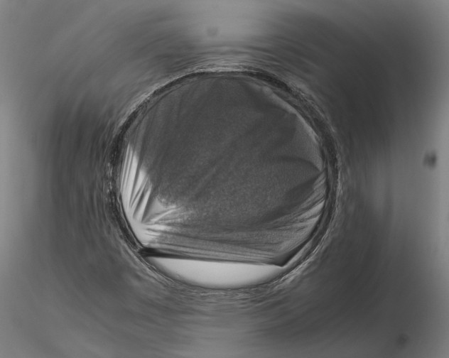 X0000115511449200912041050