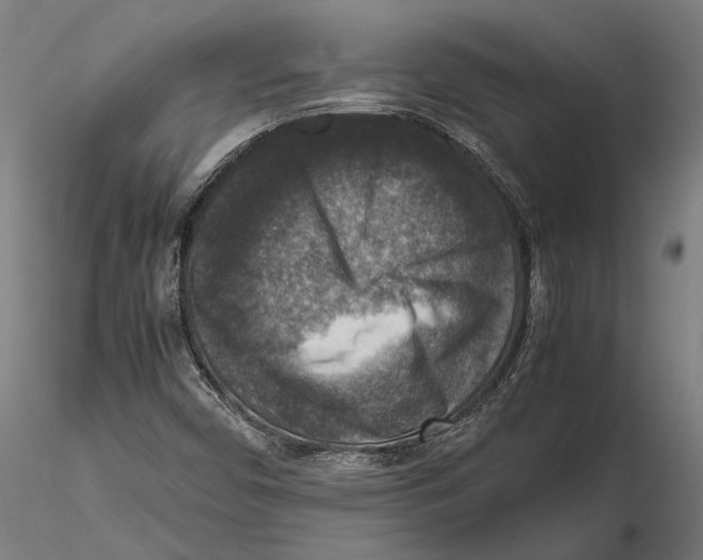 X0000115511450200912041050