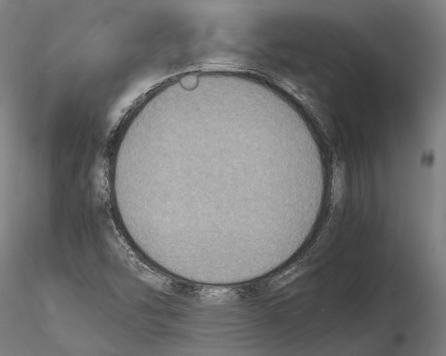 X0000115511454200912041050