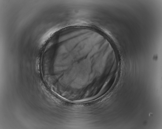 X0000115511455200912041050