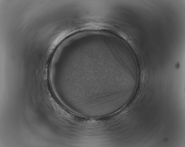 X0000115511459200912041050