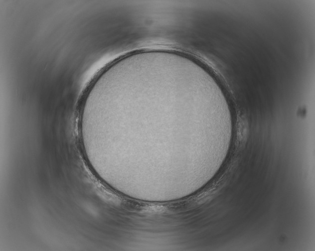 X0000115511462200912041050