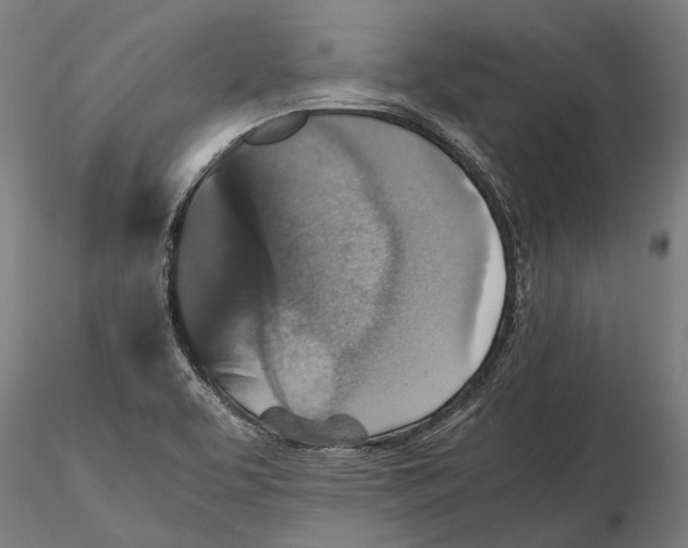 X0000115511463200912041050