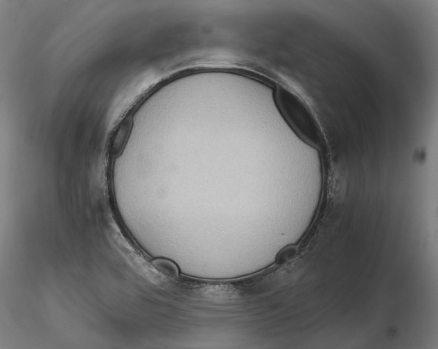 X0000115511464200912041050