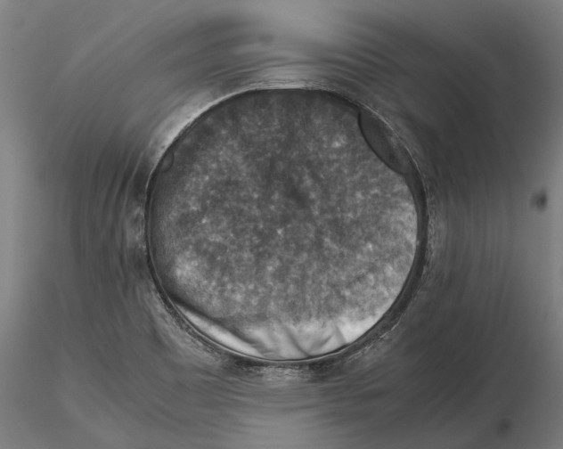 X0000115511465200912041050