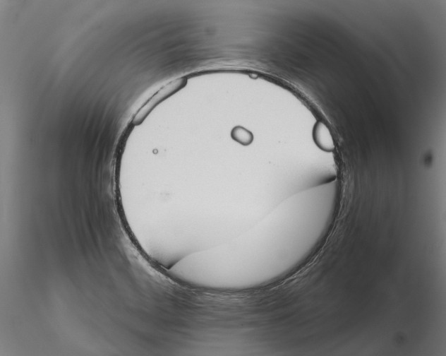 X0000115511468200912041050