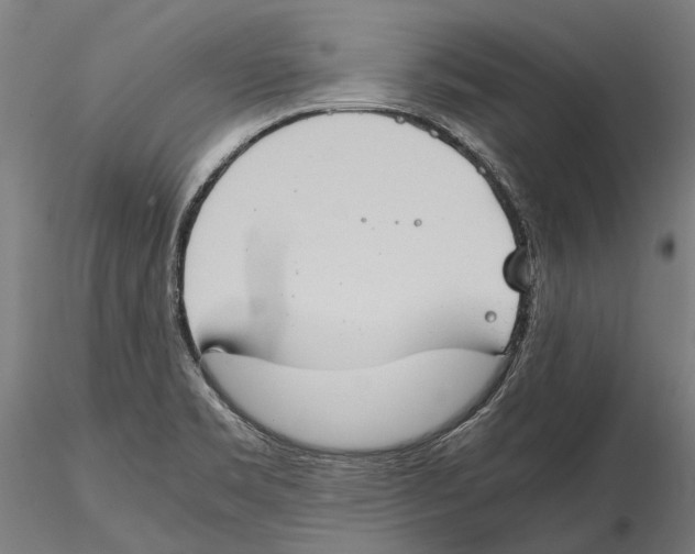 X0000115511469200912041050