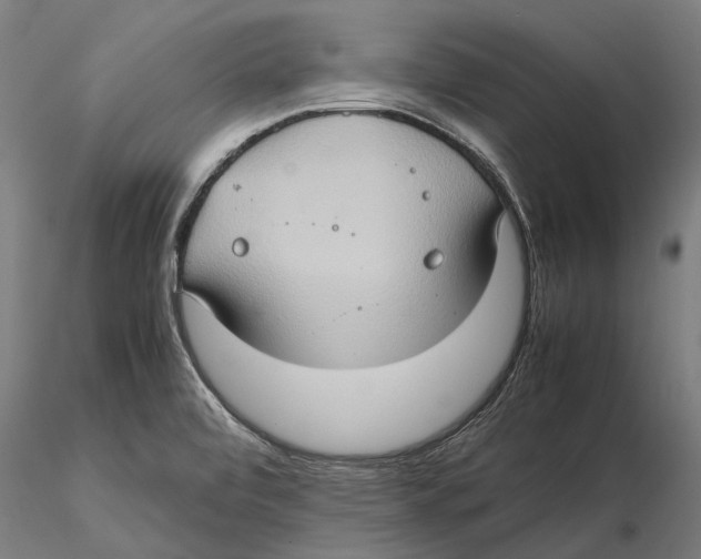 X0000115511472200912041050