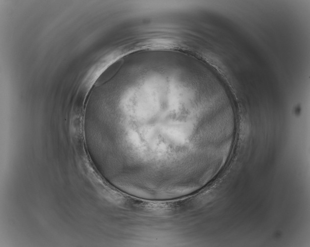 X0000115511473200912041050