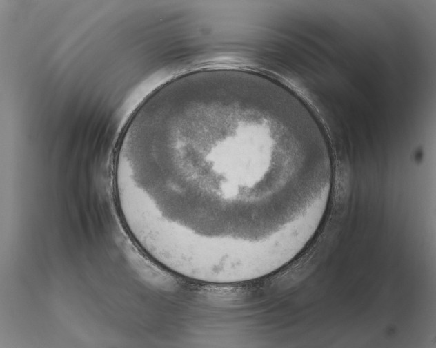 X0000115511474200912041050