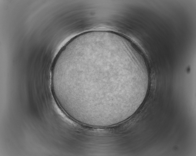 X0000115511476200912041050