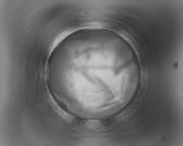 X0000115511477200912041050