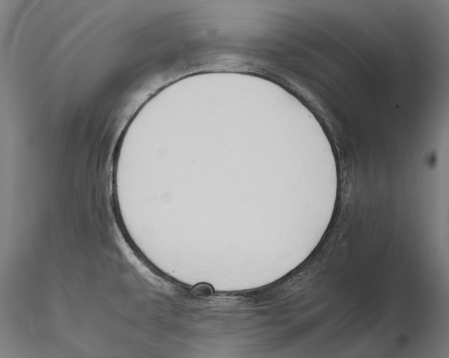 X0000115511479200912041050