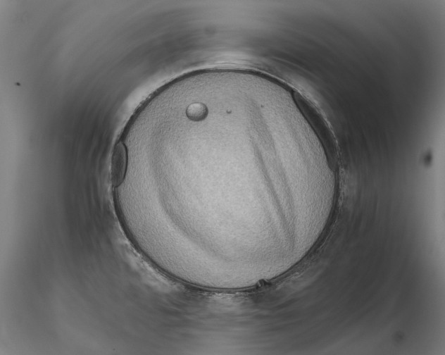 X0000115511480200912041050