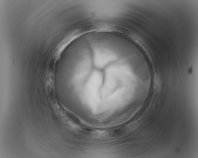 X0000115511481200912041050