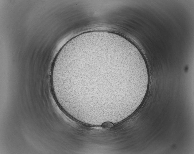 X0000115511483200912041050