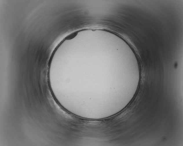 X0000115511484200912041050