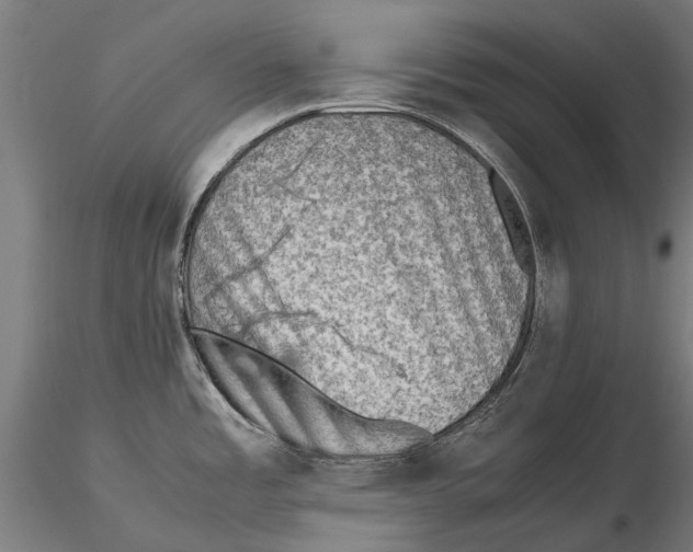 X0000115511485200912041049