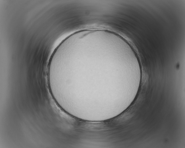 X0000115511486200912041049