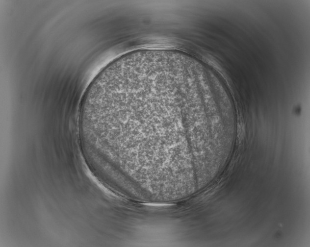 X0000115511487200912041049