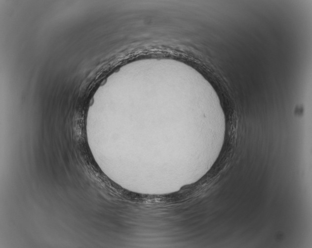 X0000115511490200912041049