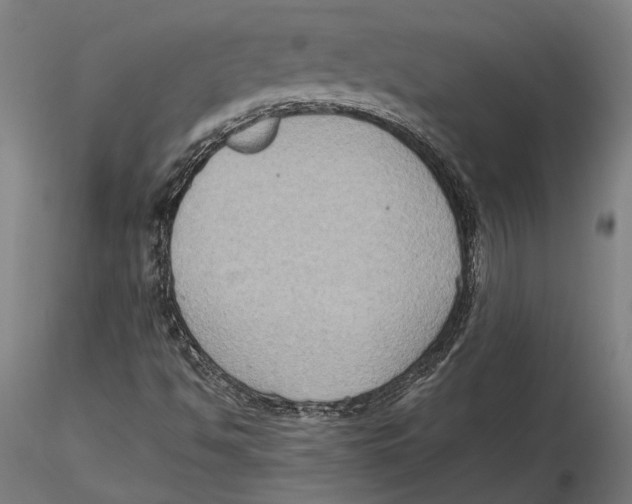 X0000115511494200912041049