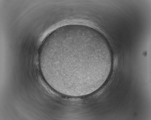 X0000115511498200912041049