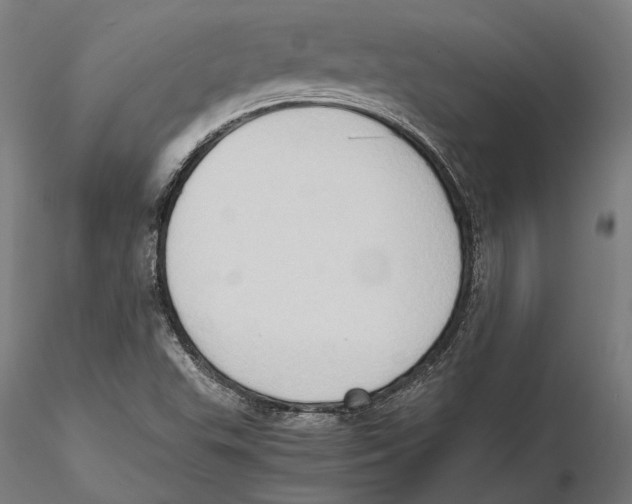 X0000115511503200912041049