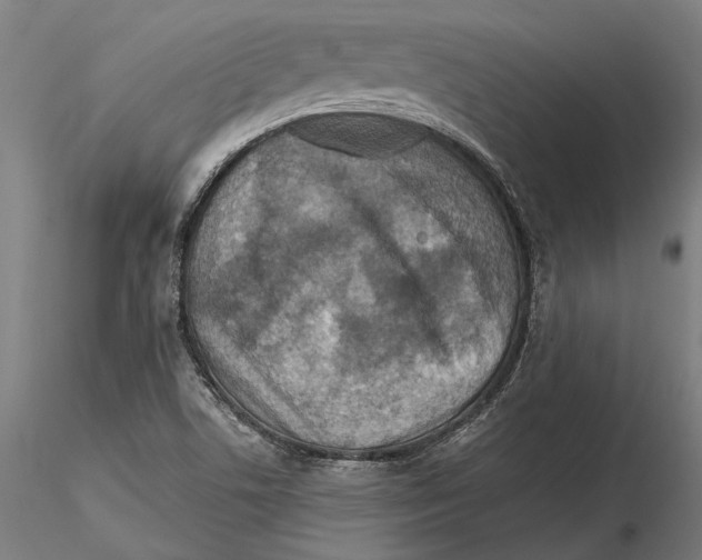 X0000115511506200912041049