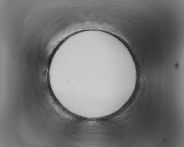 X0000115511507200912041049