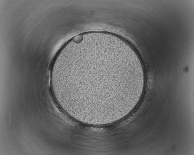 X0000115511509200912041049